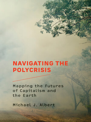cover image of Navigating the Polycrisis